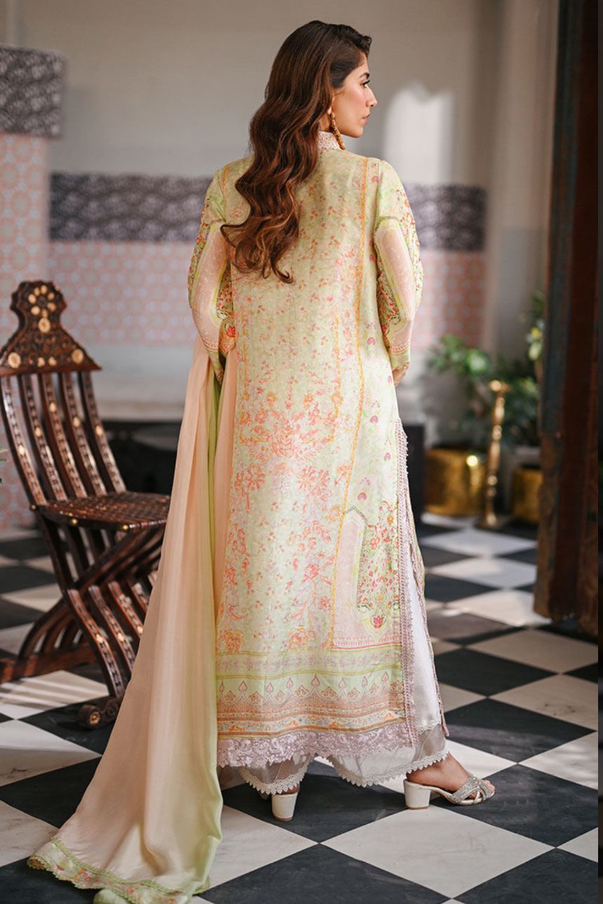 WhatsApp Image 2024-10-16 at 17.38.09 (1)