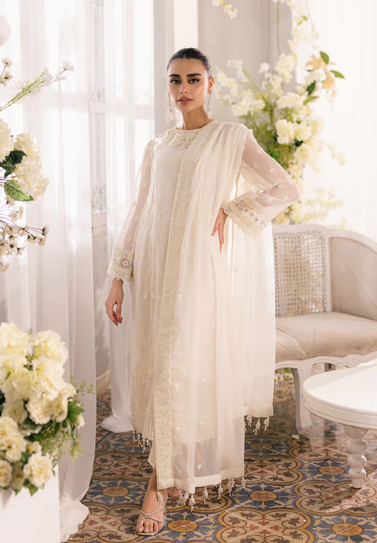 WhatsApp Image 2024-11-08 at 20.52.12