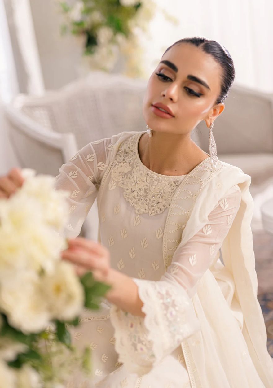 WhatsApp Image 2024-11-08 at 20.52.13