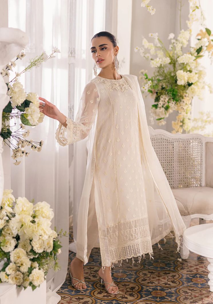 WhatsApp Image 2024-11-08 at 20.52.14