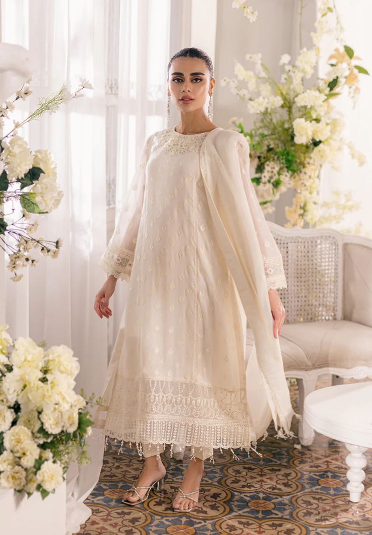 WhatsApp Image 2024-11-08 at 20.52.15