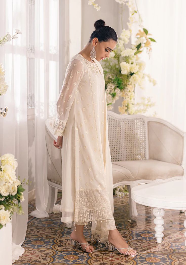 WhatsApp Image 2024-11-08 at 20.52.16